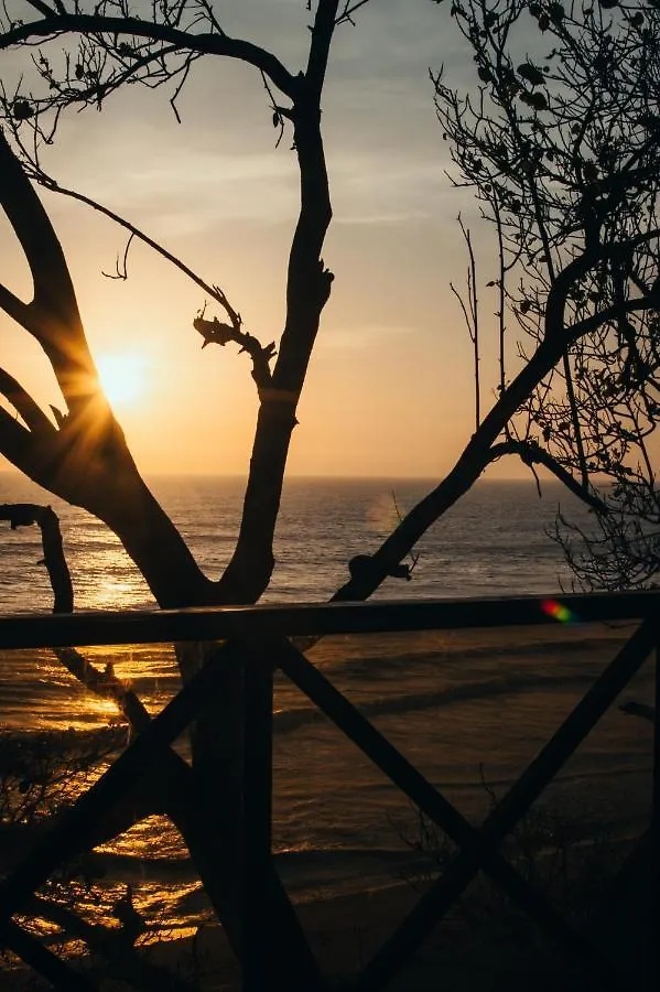 Resort Novella Hotel Varkala India